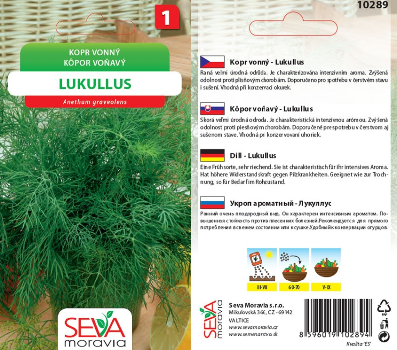 Semínka Kopr vonný Lukullus (Anethum graveolens)