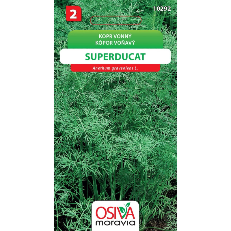 Semínka Kopr vonný Superducat (Anethum graveolens L.)