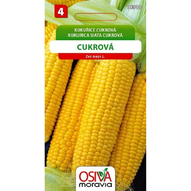 Semínka Kukuřice cukrová (Zea mays L.)