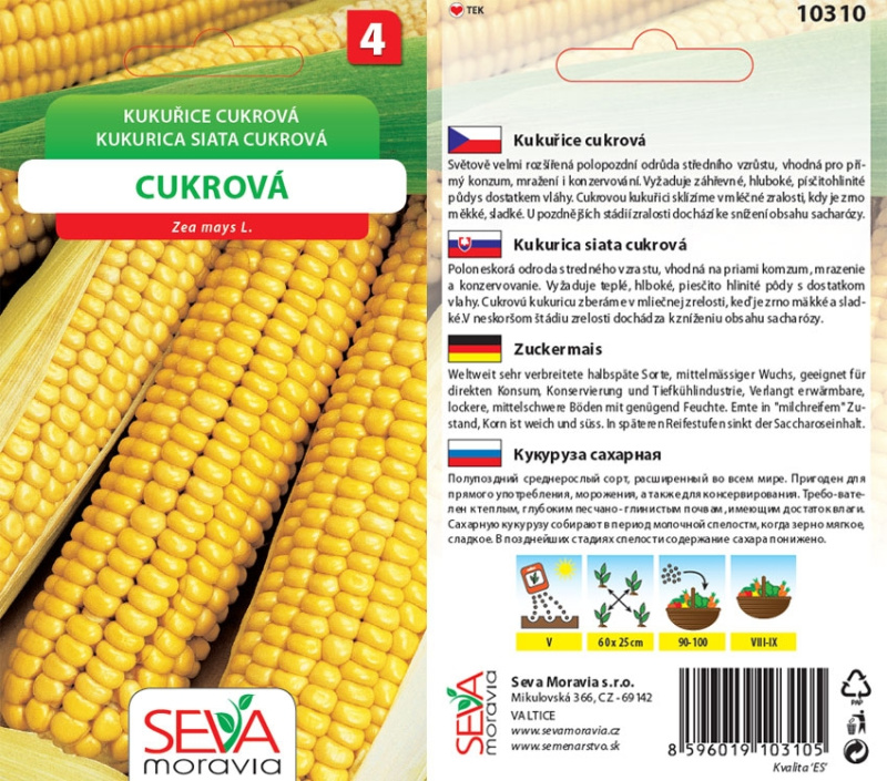 Semínka Kukuřice cukrová (Zea mays L.)