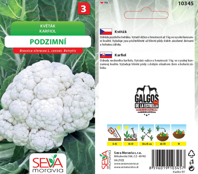 Semínka Květák podzimní (Brassica oleracea var. botrytis)