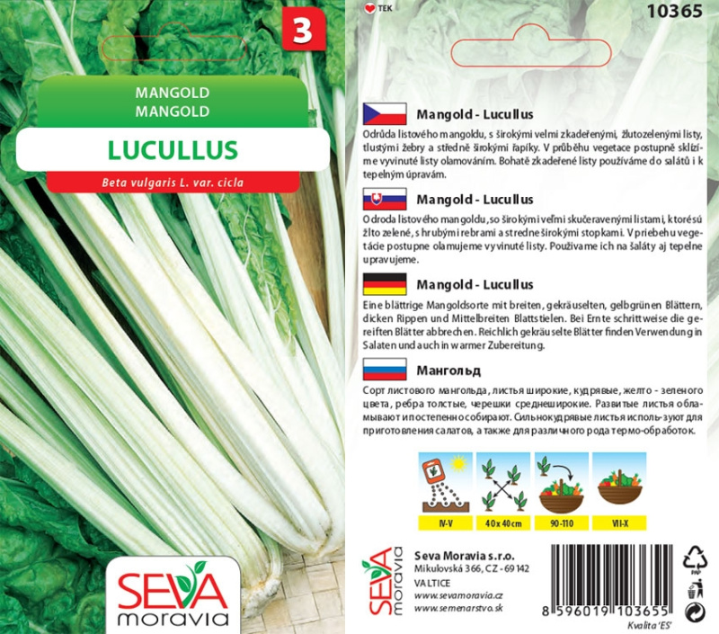 Semínka Mangold Lucullus (Beta vulgaris L. var. cicla)