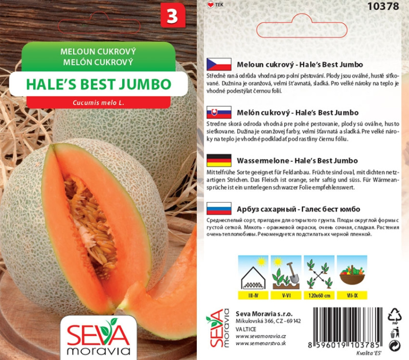 Semínka Meloun cukrový Hale's Best Jumbo (Cucumis mělo L.)