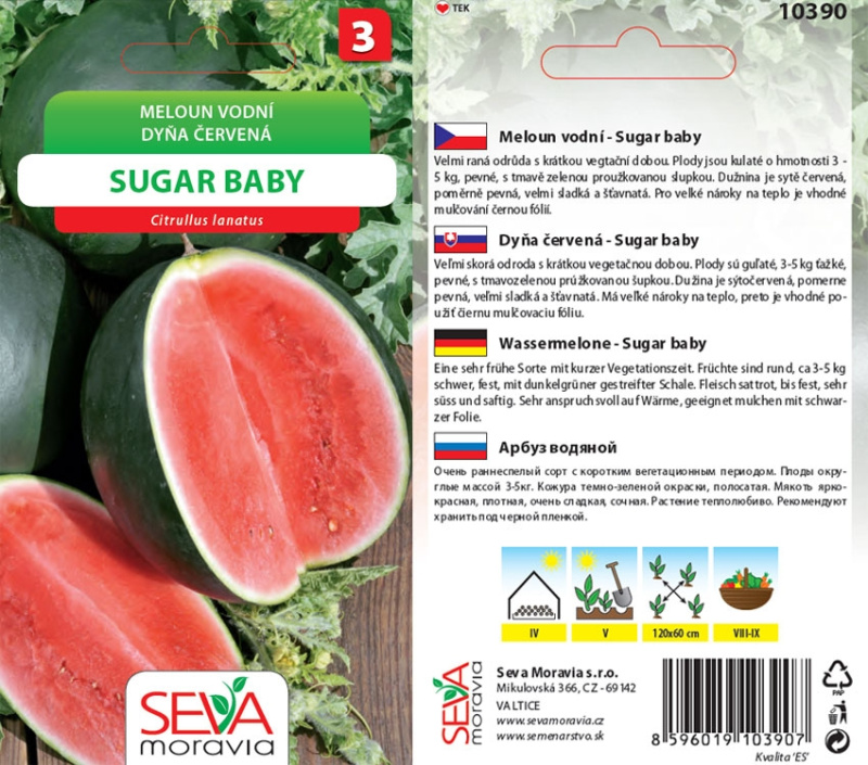 Semínka Meloun vodní Sugar Baby (Citrullus lanatus)