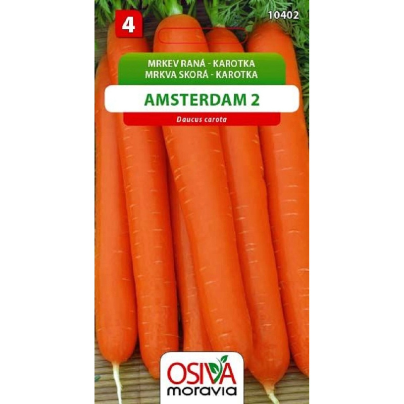 Semínka Mrkev raná karotka Amsterdam 2 (Daucus carota)