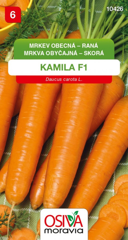 Mrkev Obecná - Raná (Daucus carota L.)