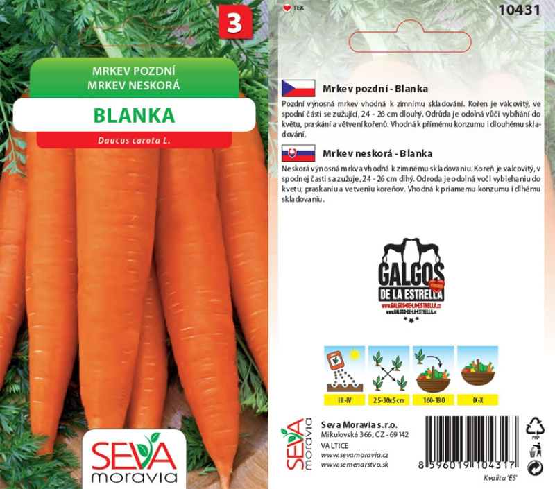 Mrkev Pozdní (Daucus carota L.)