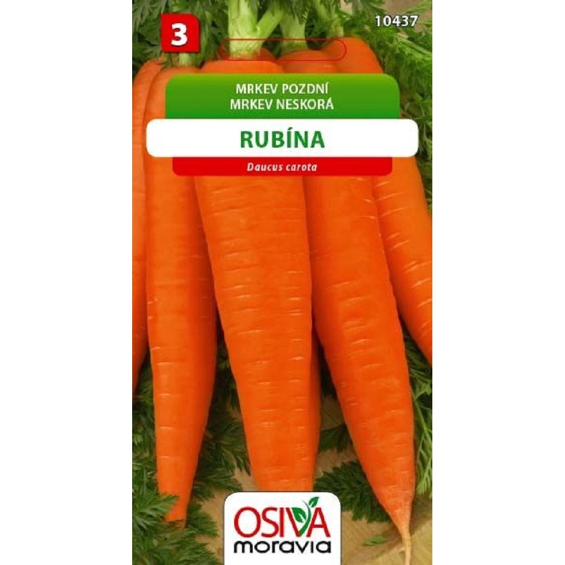 Semínka Mrkev pozdní Rubína (Daucus carota)