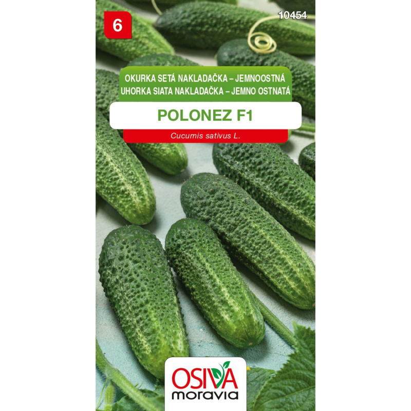 Okurka Nakladačka - Polonez F1 (Cucumis sativus L.)
