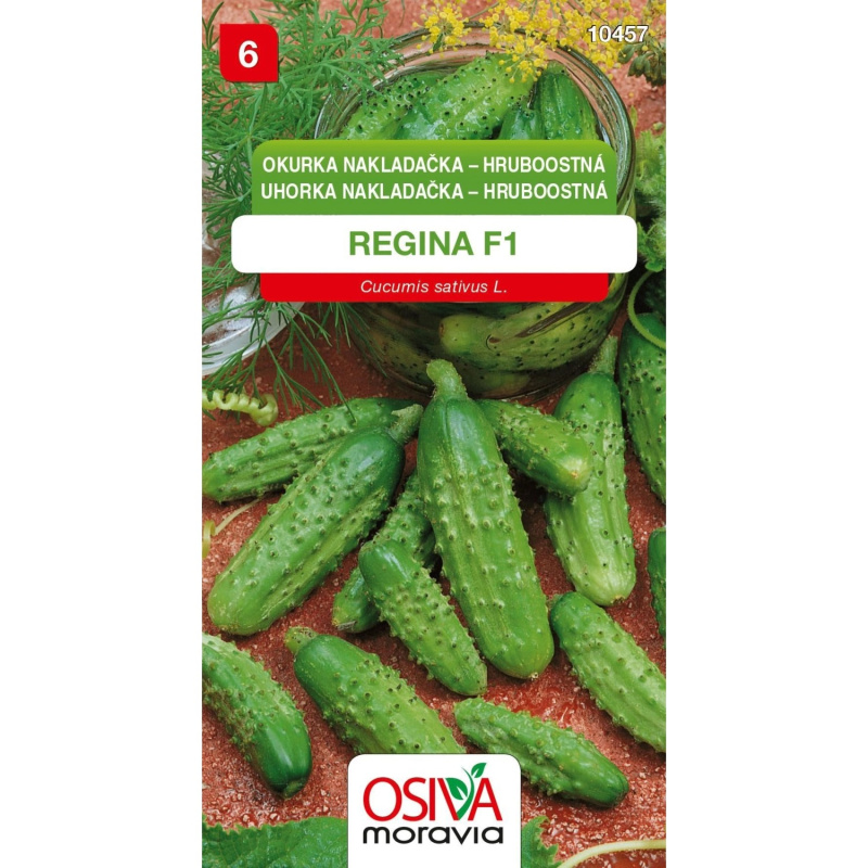Semínka Okurka nakládačka hruboostná Regina F1
