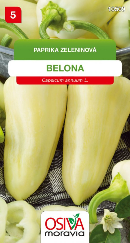 Paprika Zeleninová - sladká - Belona (Capsicum annuum L.)