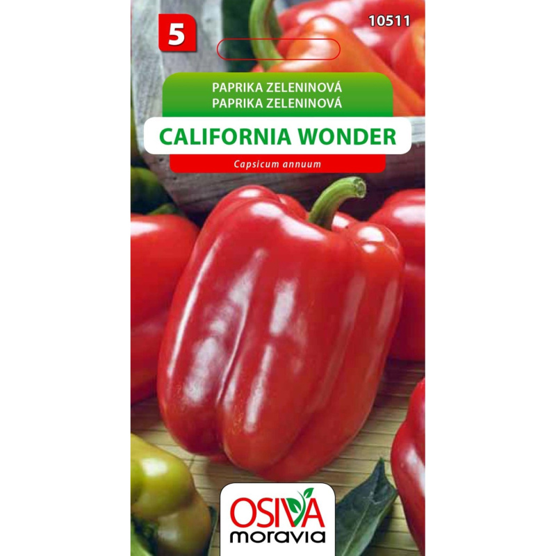 Paprika Zeleninová - sladká - California Wonder (Capsicum annuum)