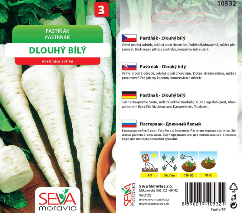 Semínka Pastiňák Dlouhý bílý (Pastinaca sativa)