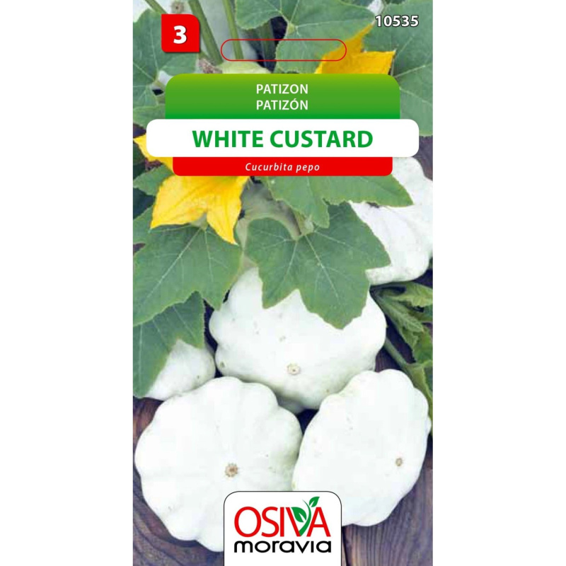 Semínka Patizon White Custard (Cucurbita pepo)