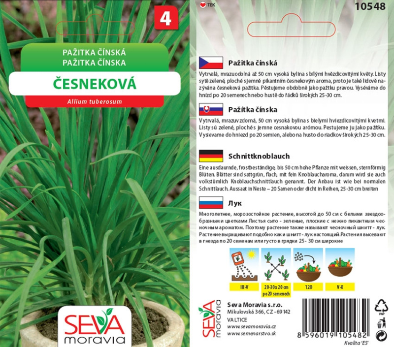Semínka Pažitka čínská Česneková (Allium tuberosum)