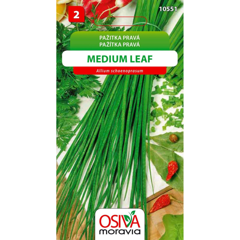 Semínka Pažitka pravá Medium Leaf (Allium schoenoprasum)