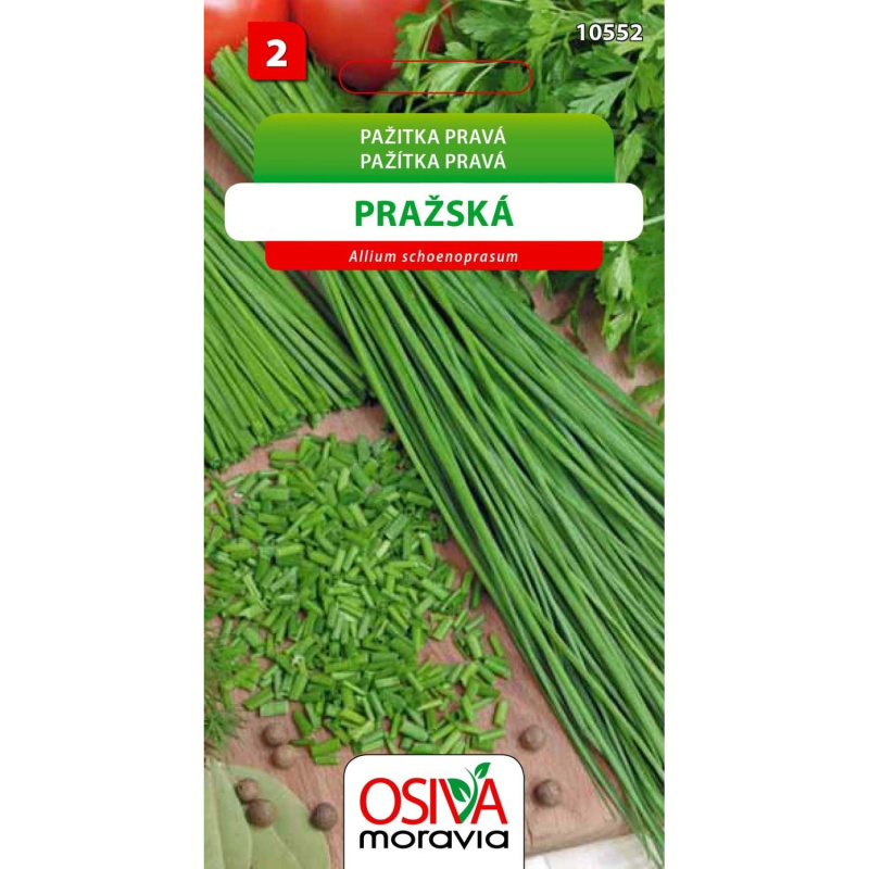 Semínka Pažitka pravá Pražská (Allium schoenoprasum)