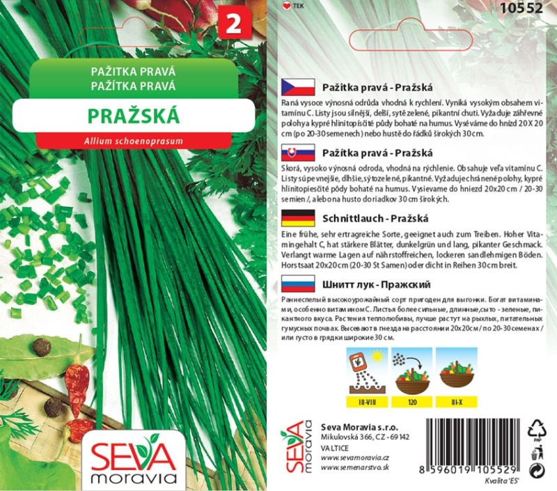 Semínka Pažitka pravá Pražská (Allium schoenoprasum)