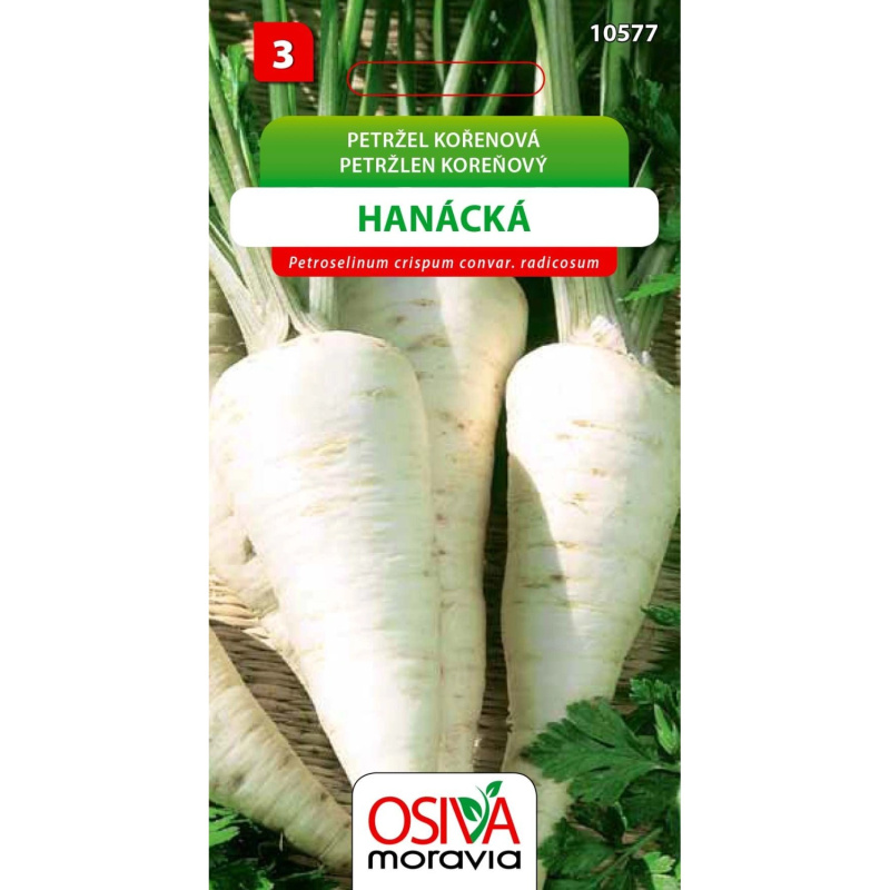 Semínka Petržel kořenová Hanácká (Petroselinum crispum convar. radicosum))