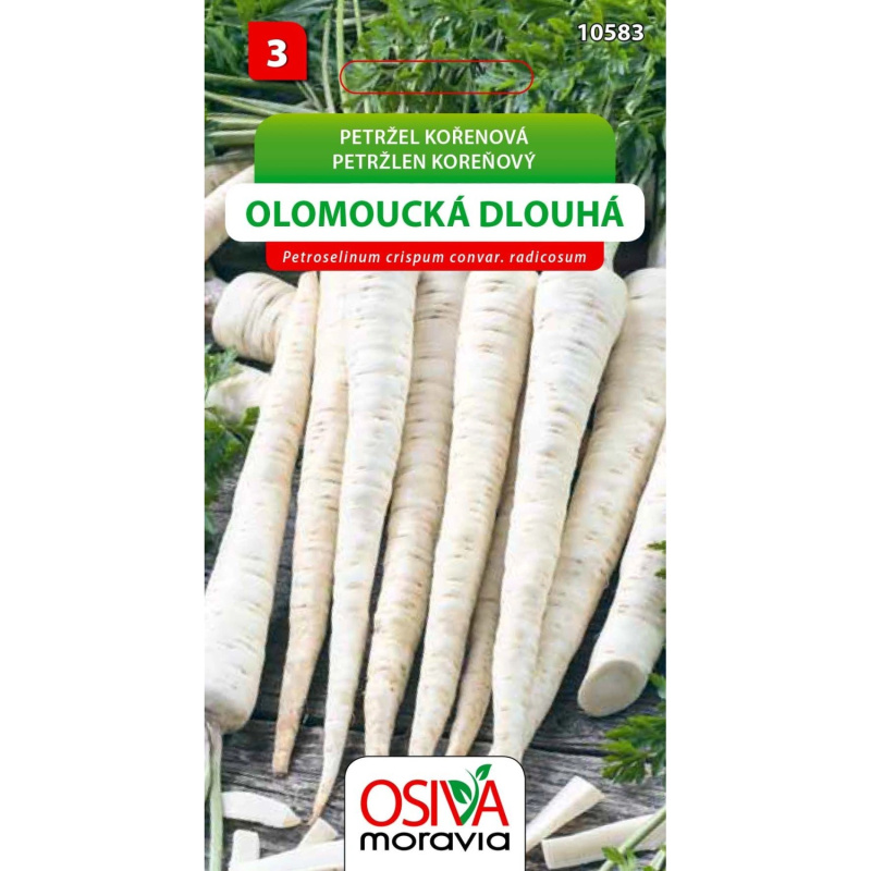 Semínka Petržel kořenová Olomoucká dlouhá (Petroselinum crispum convar. radicosu