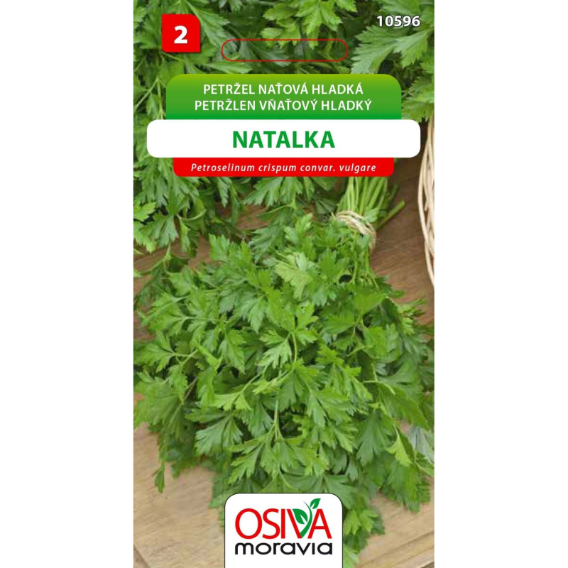 Semínka Petržel naťová hladká Natalka (Petroselinum crispum convar. vulgare)