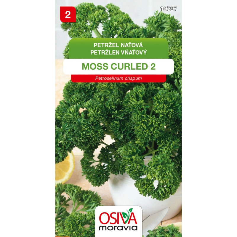 Semínka Petržel naťová Moss Curled 2 (Petroselinum crispum)