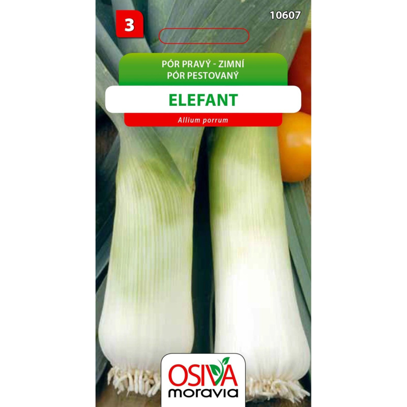 Semínka Pór pravý zimní Elefant (Allium porrum)