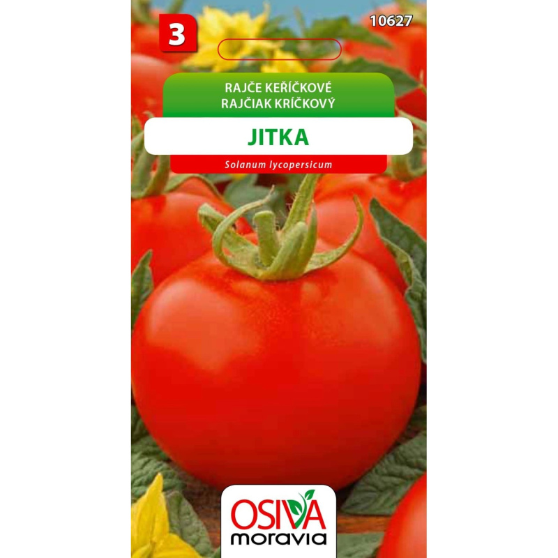 Rajče Keříčkové - Jitka (Solanum lycopersicum)
