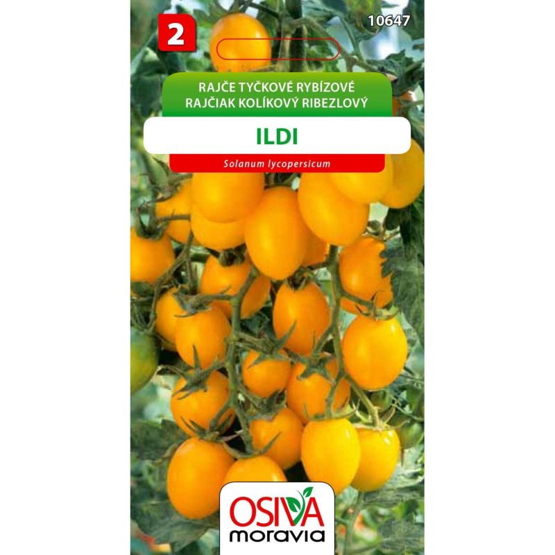 Semínka Rajče tyčkové rybízové Ildi (Solanum lycopersicum)