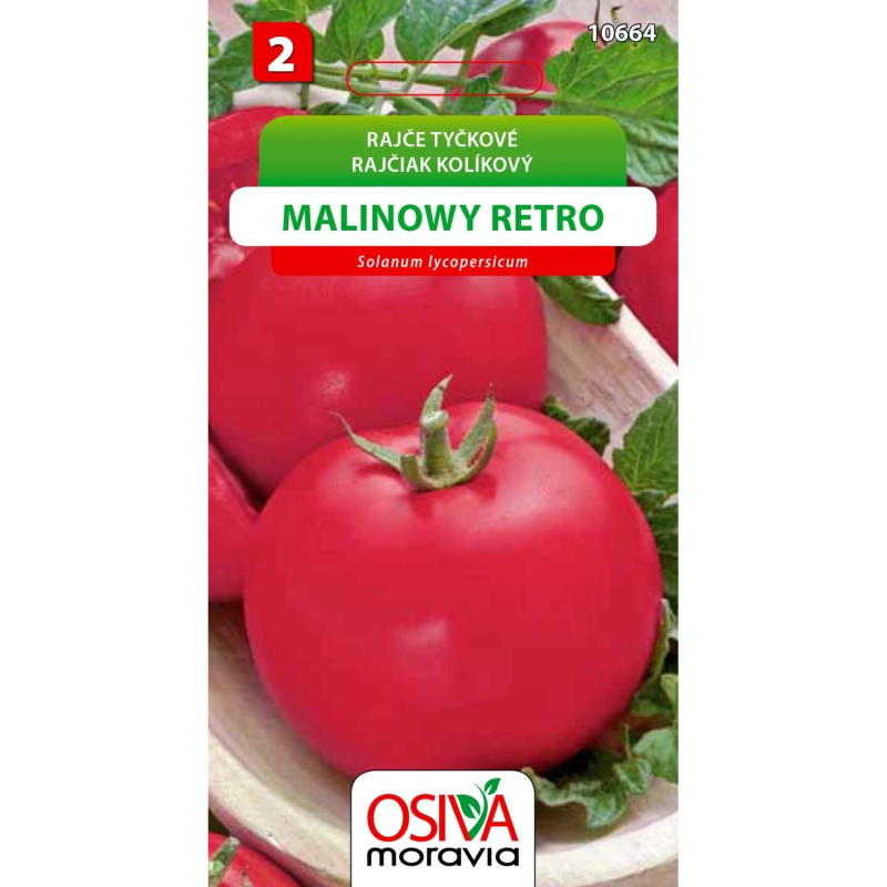 Rajče tyčkové - Malinowy Retro (Solanum lycopersicum)