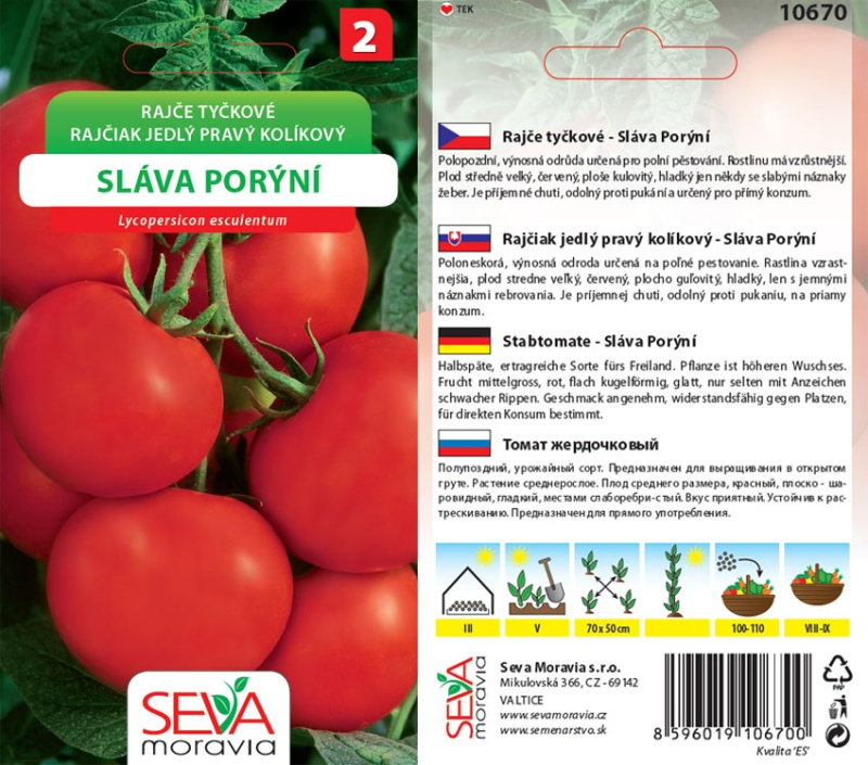 Rajče Tyčkové - Sláva Porýní (Solanum lycopersicum)