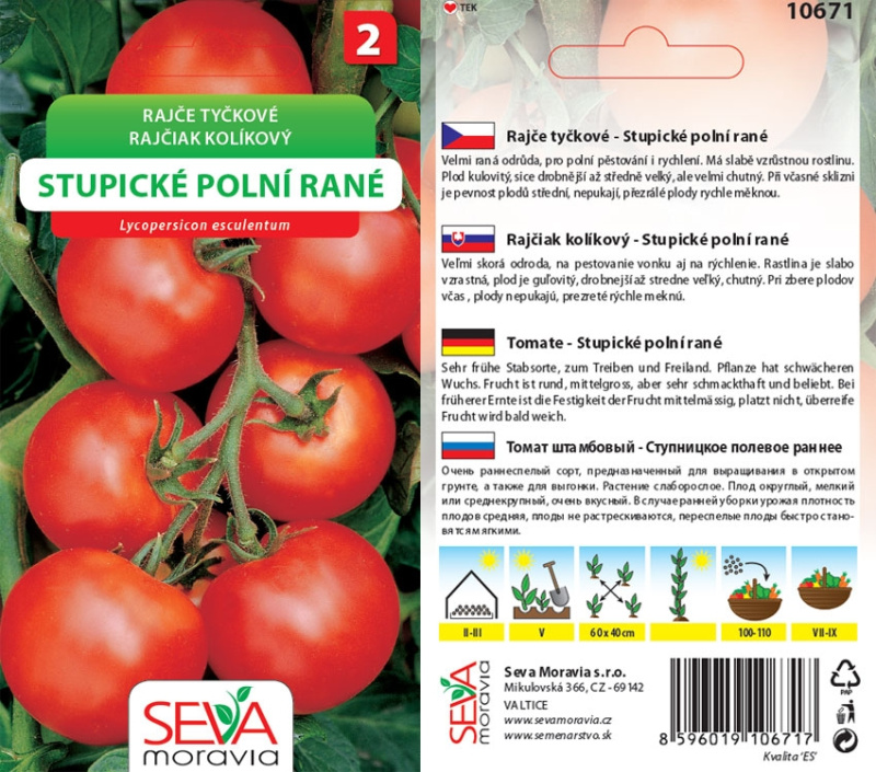 Rajče tyčkové - Stupické polní rané (Solanum lycopersicum)