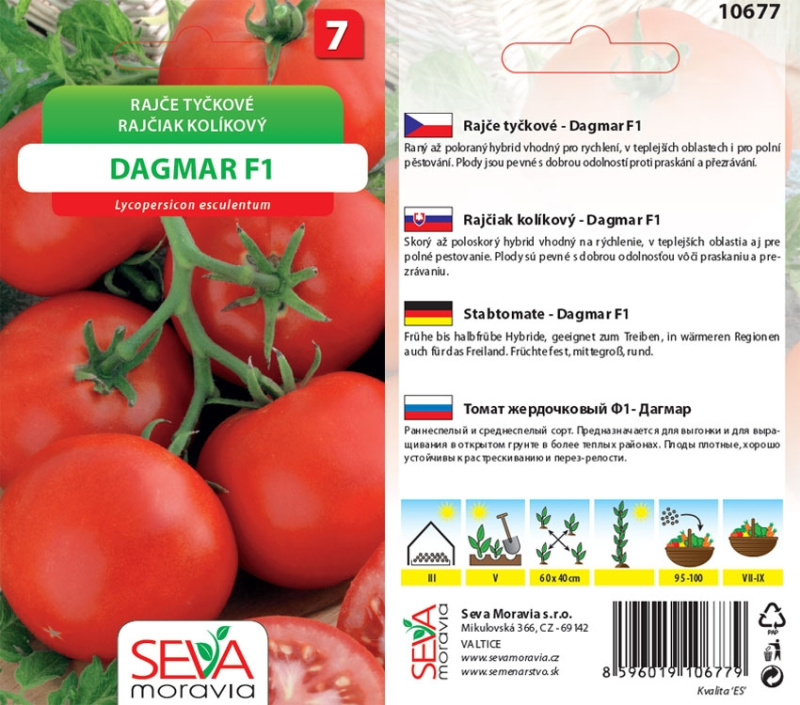 Semínka Rajče tyčkové Dagmar F1 (Solanum lycopersicum)