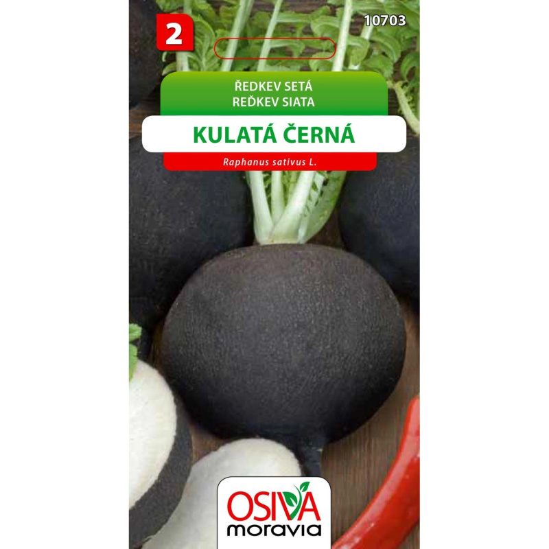 Semínka Ředkev setá Kulatá černá (Raphanus sativus L.)