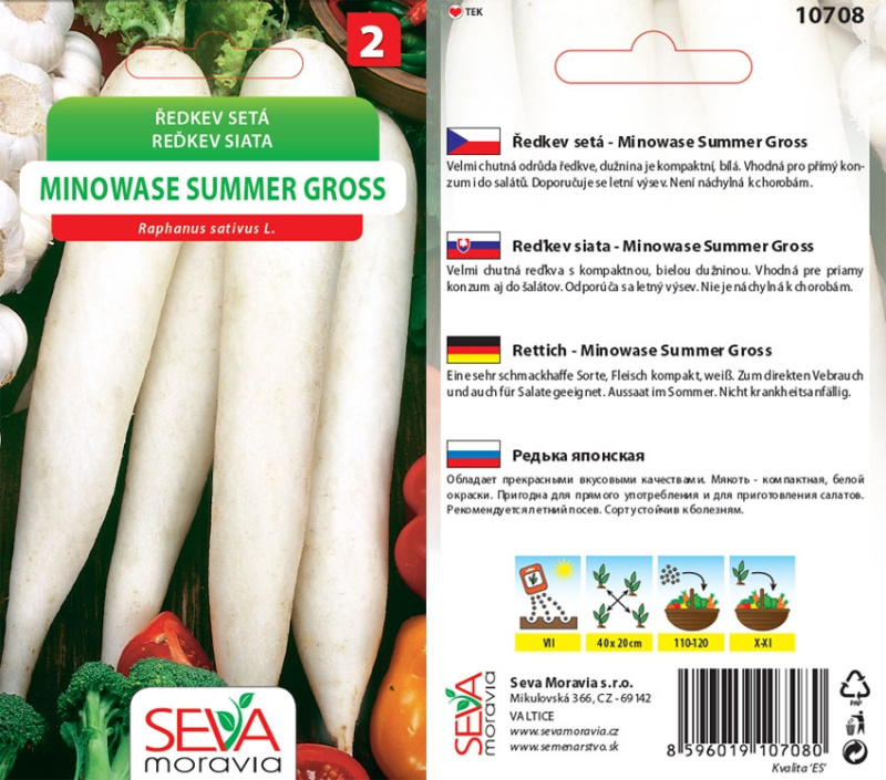Semínka Ředkev setá Minowase Summer Gross (Raphanus sativus L.)