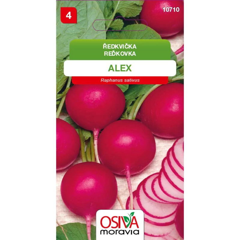 OSIVA Moravia Ředkvička "Alex" (Raphanus sativus)