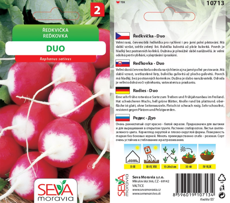Semínka Ředkvička Duo (Raphanus sativus)