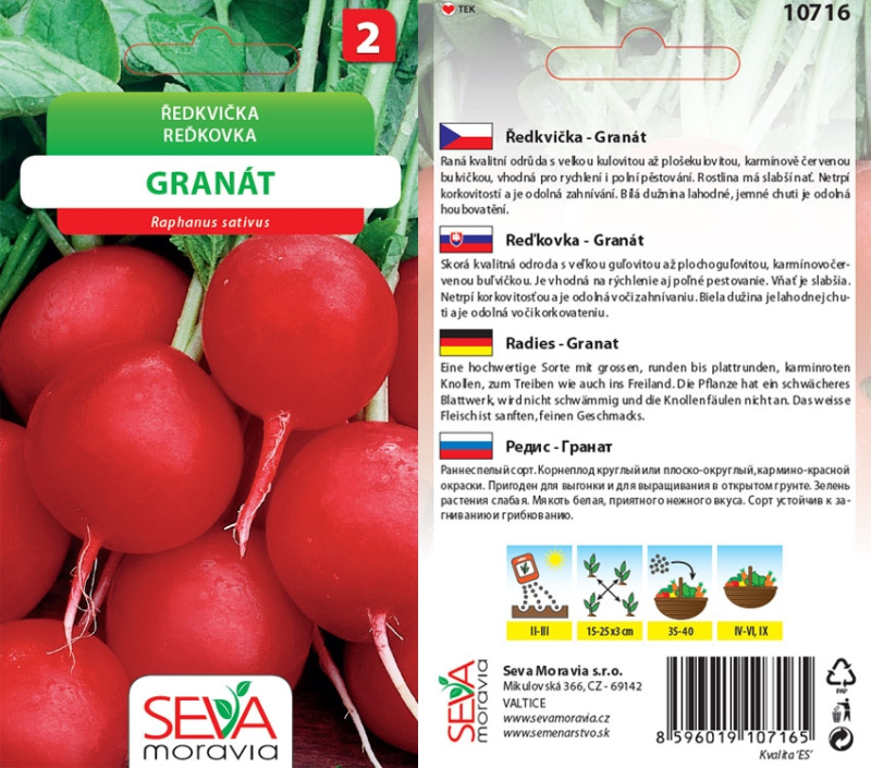 Semínka Ředkvička Granát (Raphanus sativus)