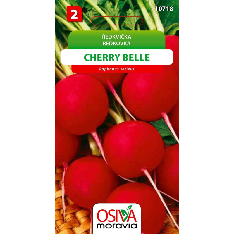 Ředkvička - Cherry Belle (Raphanus sativus)