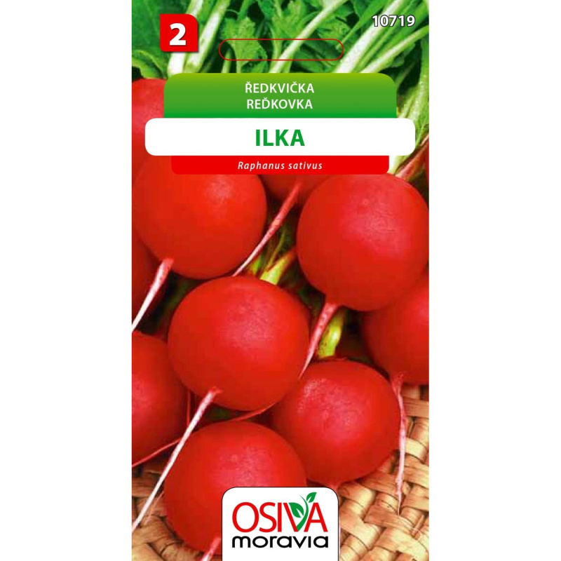 Semínka Ředkvička Ilka (Raphanus sativus)