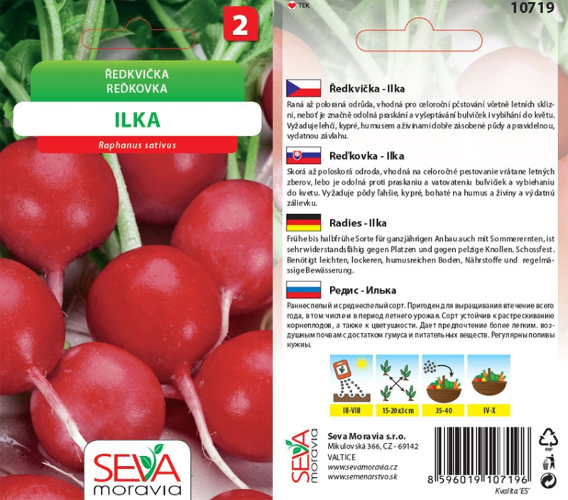 Semínka Ředkvička Ilka (Raphanus sativus)