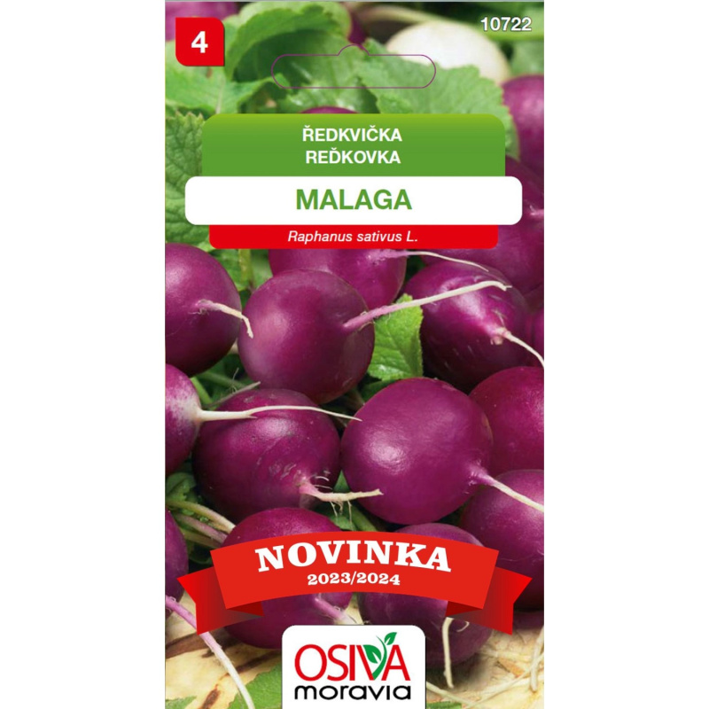 Aros Semena Ředkvička Malaga