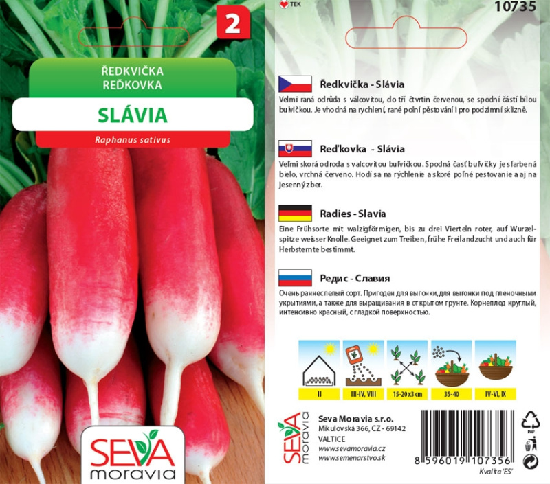Semínka Ředkvička Slávia (Raphanus sativus)