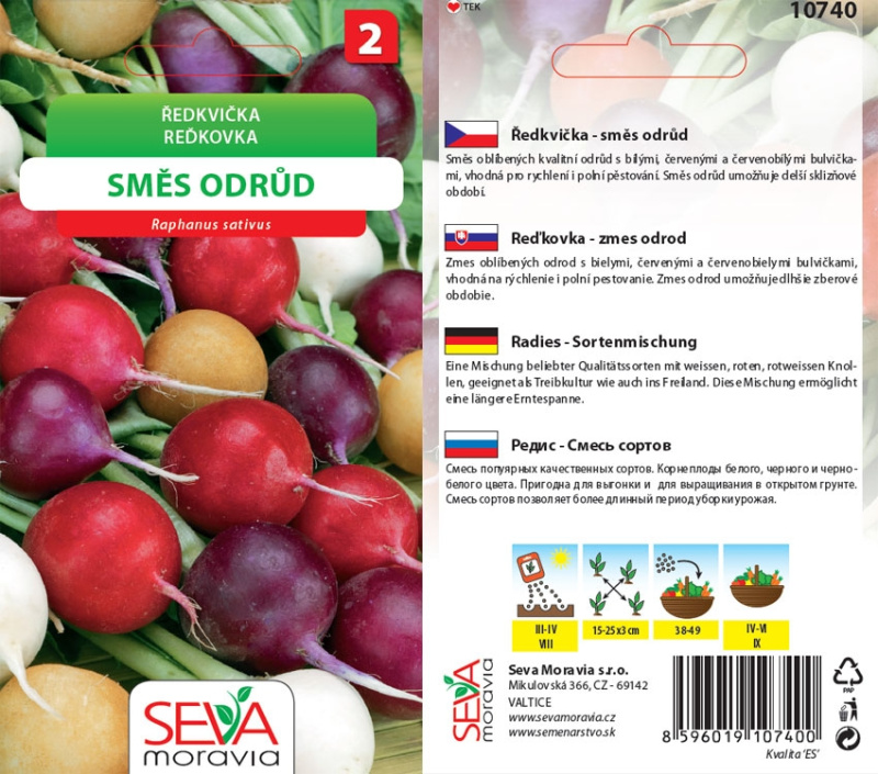 Ředkvička - směs odrůd (Raphanus sativus)