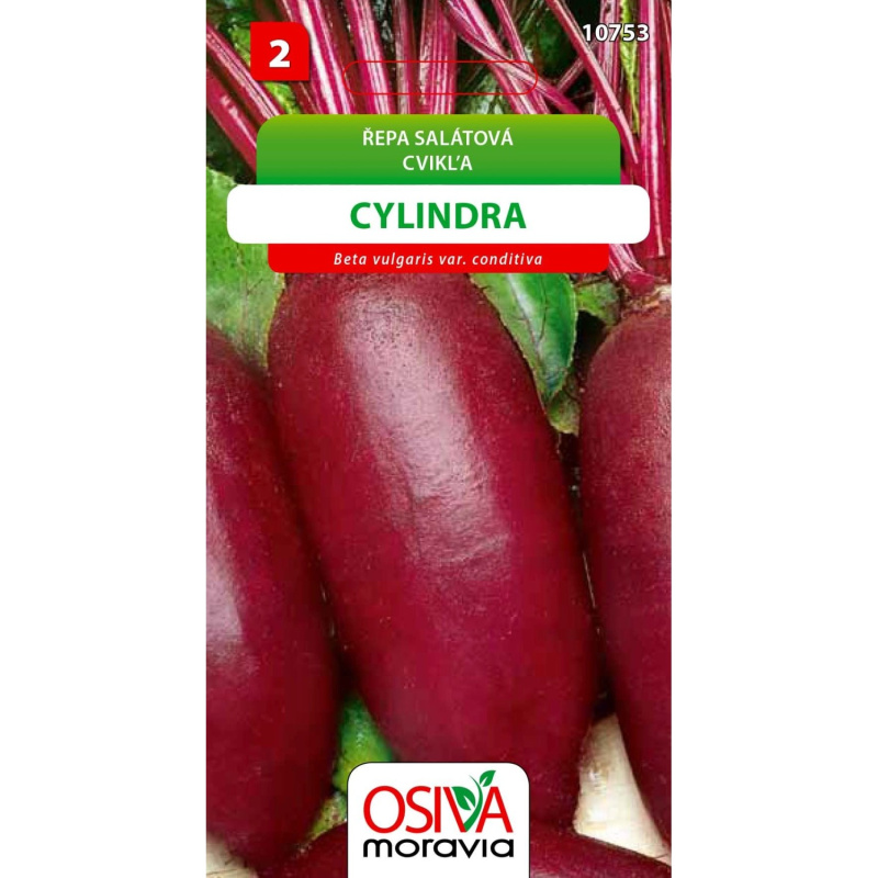 Semínka Řepa salátová Cylindra (Beta vulgaris var. conditiva)