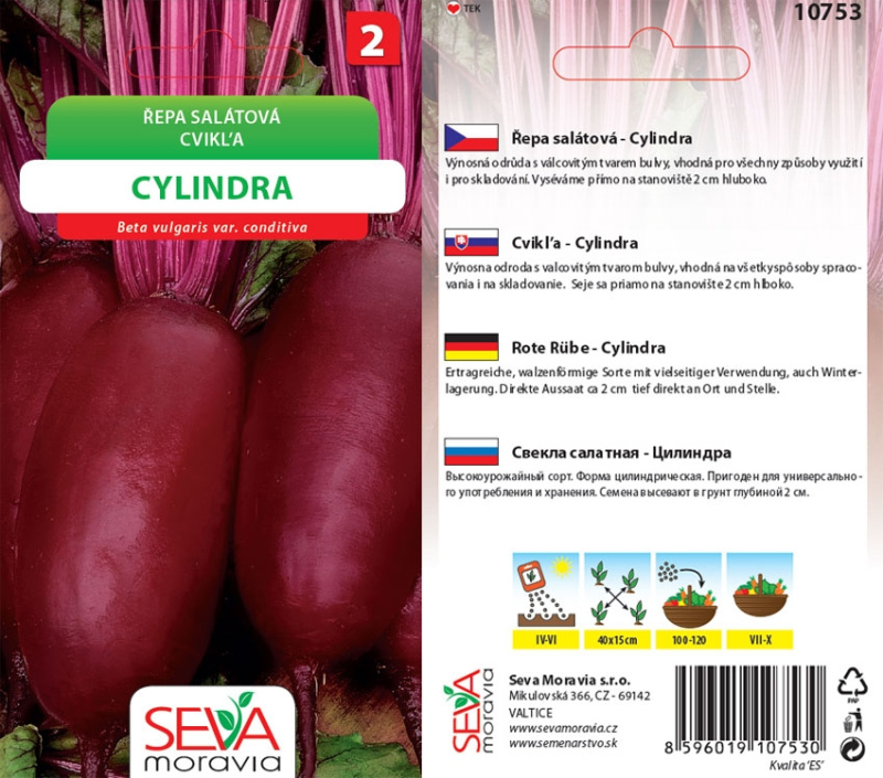 Semínka Řepa salátová Cylindra (Beta vulgaris var. conditiva)