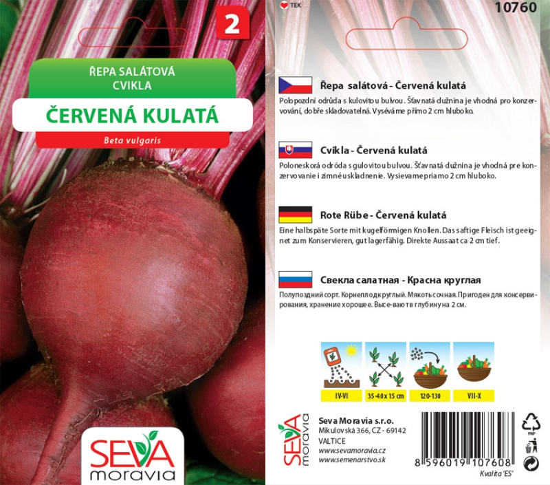 Semínka Řepa salátová Červená kulatá (Beta vulgaris)