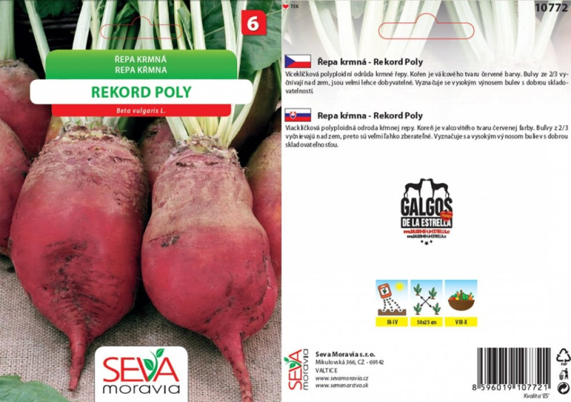 Semínka Řepa krmná Rekord Poly (Beta vulgaris L.)