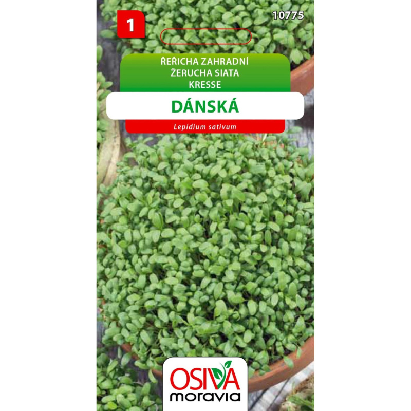 Osiva Moravia Řeřicha zahradní dánská