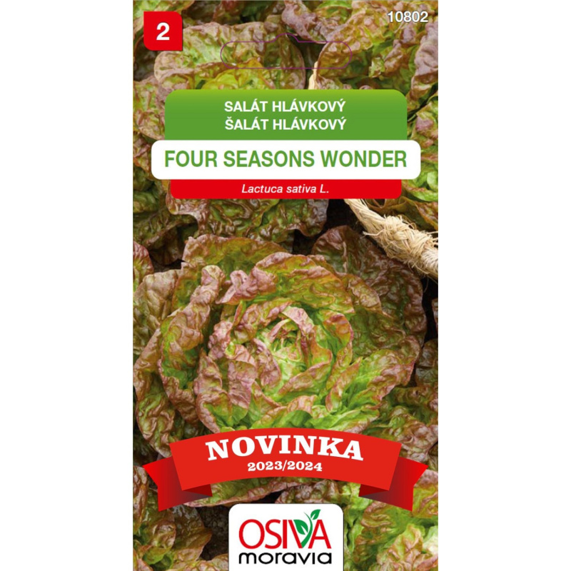 Aros Semena Salát hlávk. 4 Seasons Wonder (Lactuca capitata)